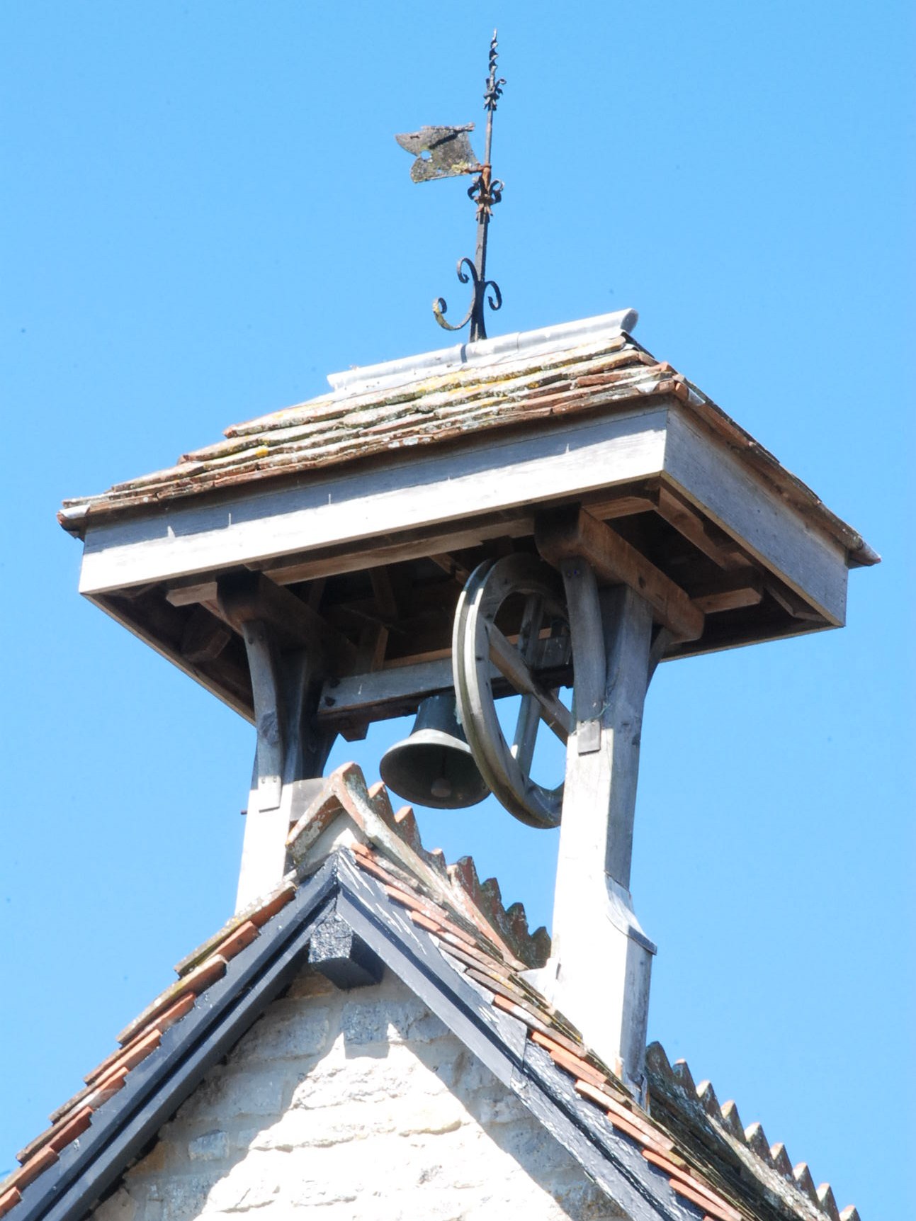 School Shield